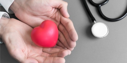 Menopause And Cardiovascular Health: What Every Menopausal Woman Should Know About Heart Disease